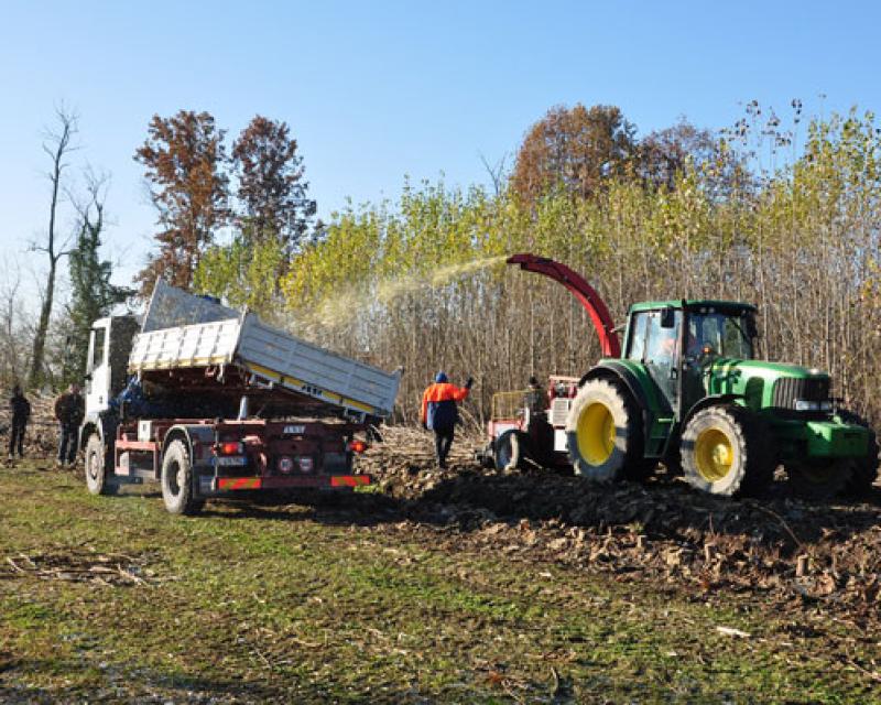 Bassanonet.it Quando l'acqua e il legno si incontrano