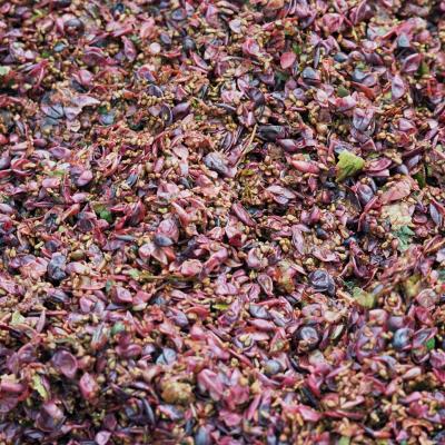 Bassanonet.it Attenti che Ripasso