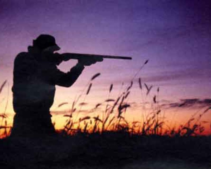 Bassanonet.it PDL bassanese, se ci sei batti un colpo