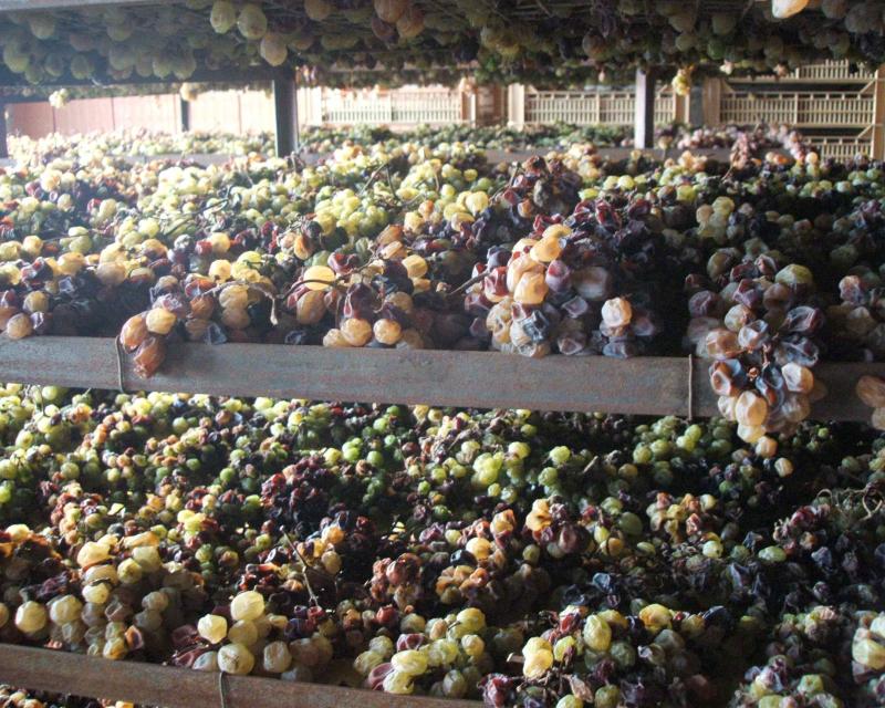 Bassanonet.it Prima del Torcolato