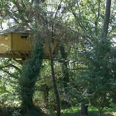 Bassanonet.it C’è una casa sull’albero che…