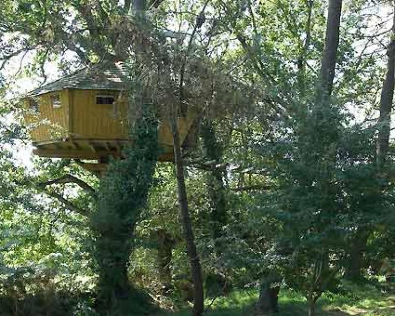 Bassanonet.it C’è una casa sull’albero che…