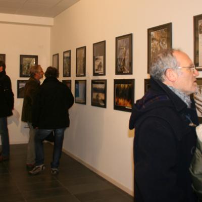 Bassanonet.it Arboreto salvatico