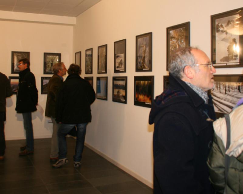 Bassanonet.it Arboreto salvatico