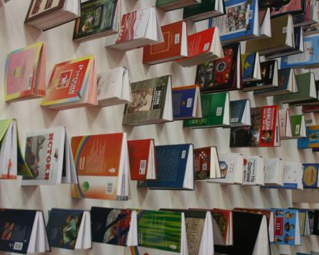 Bassanonet.it Libri usati