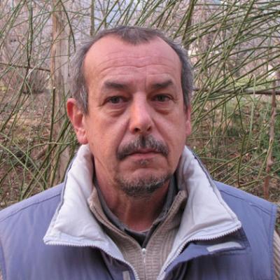Bassanonet.it Coppie e famiglie di fatto: “Non giustificata la risposta del sindaco”