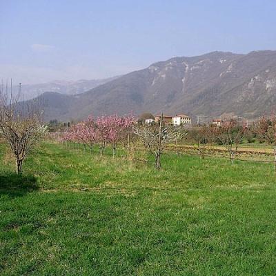 Bassanonet.it La Cospirazione della Speranza