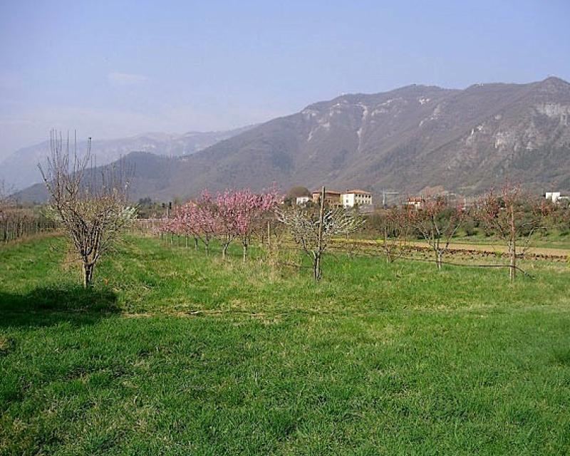 Bassanonet.it La Cospirazione della Speranza