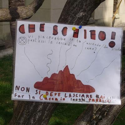 Bassanonet.it Se a darci una lezione sono gli scolari