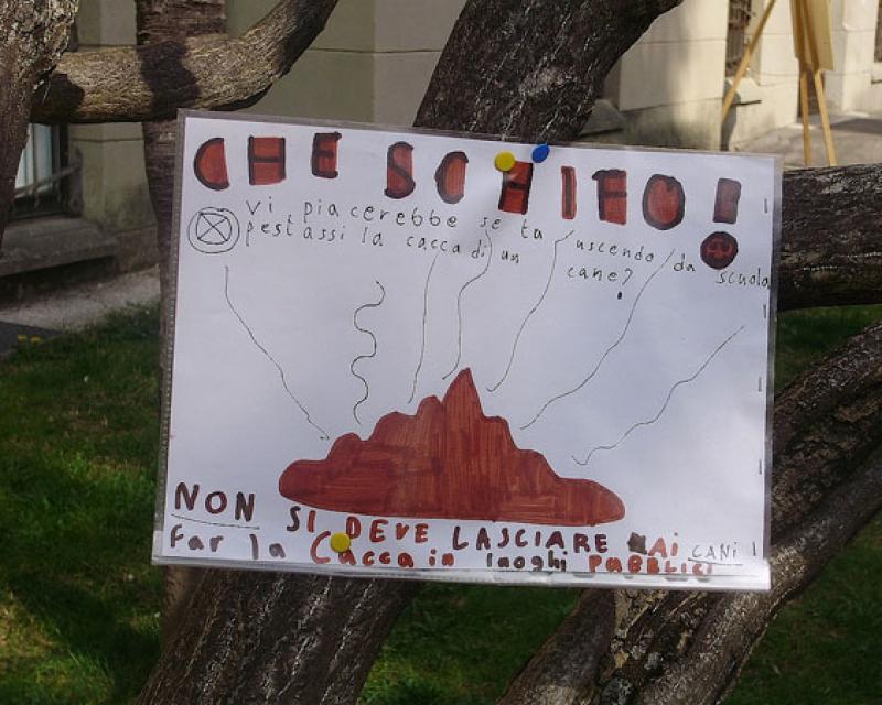 Bassanonet.it Se a darci una lezione sono gli scolari