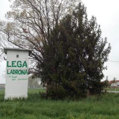 Bassanonet.it E spunta la scritta “Lega ladrona”