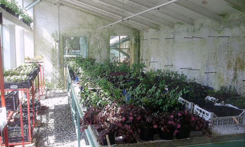 Bassanonet.it - Le serre restaurate