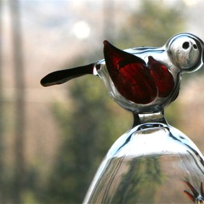 Bassanonet.it Le Favole di Zia Nina