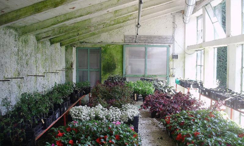 Bassanonet.it - Le serre restaurate