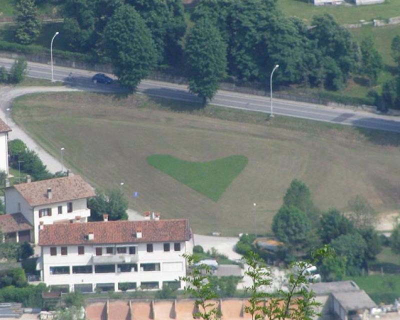 Bassanonet.it Batte ancora il “Cuore Civico”