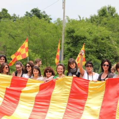 Bassanonet.it Rugby Bassano espugna Varese