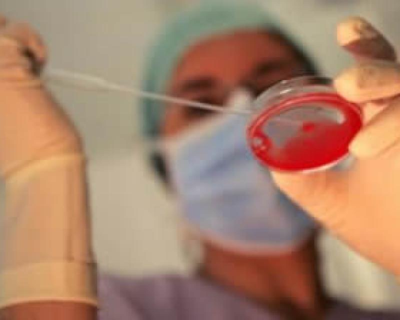 Bassanonet.it Generazioni