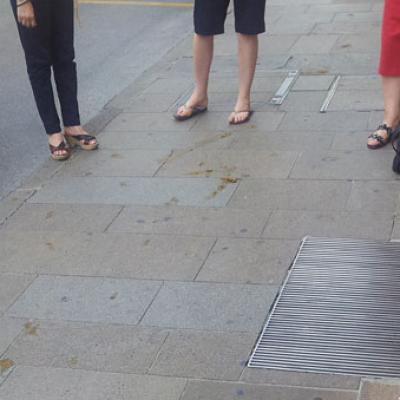 Bassanonet.it Cani e porci