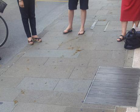 Bassanonet.it Cani e porci