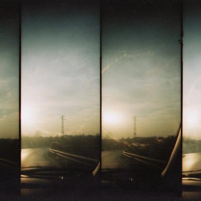 Bassanonet.it Il caso, l'istinto e... la dolce attesa