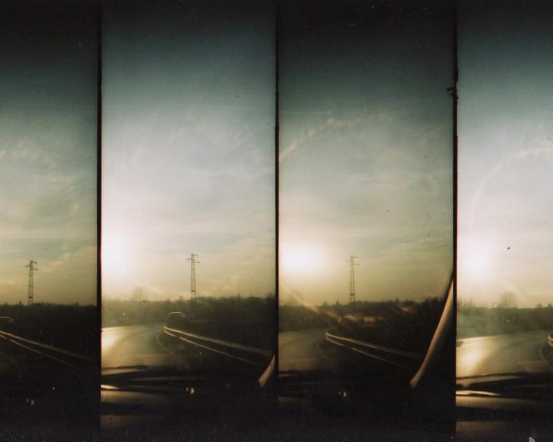 Bassanonet.it Il caso, l'istinto e... la dolce attesa