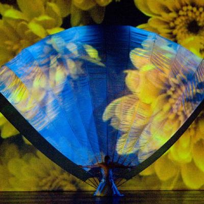 Bassanonet.it Tutti pazzi per i Momix!