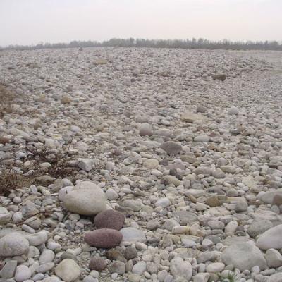 Bassanonet.it Con l'acqua alla gola