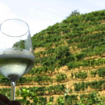 Bassanonet.it Bere per ricordare