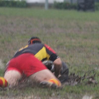 Bassanonet.it Rugby Bassano riparte dalla tana del Conegliano