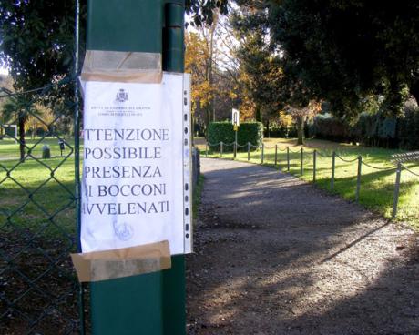 Bassanonet.it Bocconi avvelenati nel parco