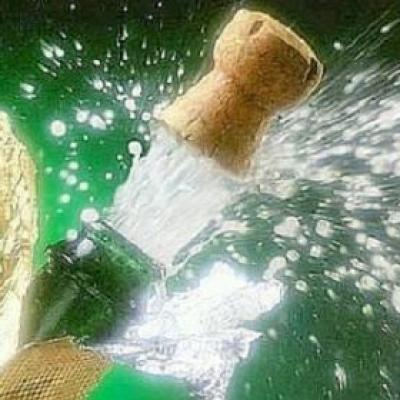 Bassanonet.it Il Capodanno? Festeggialo “green”