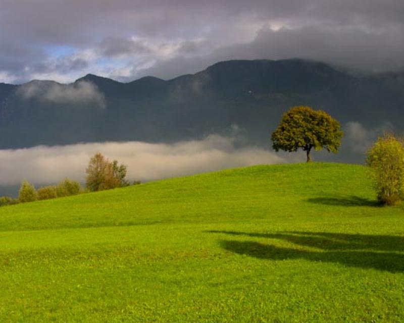 Bassanonet.it Le bellezze della Pedemontana