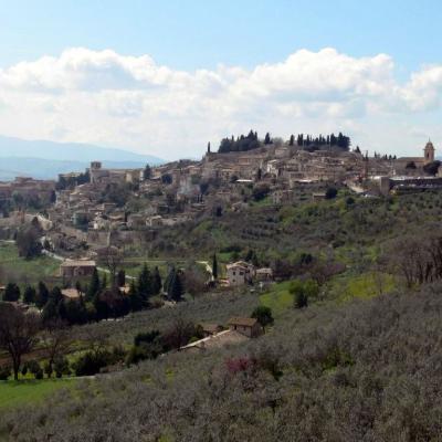 Bassanonet.it Ciao mamma, vado alla Settimana Giovane