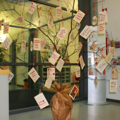 Bassanonet.it L’albero dei libri