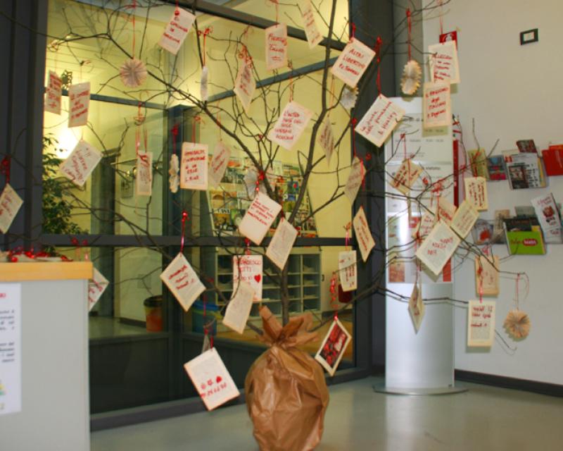 Bassanonet.it L’albero dei libri