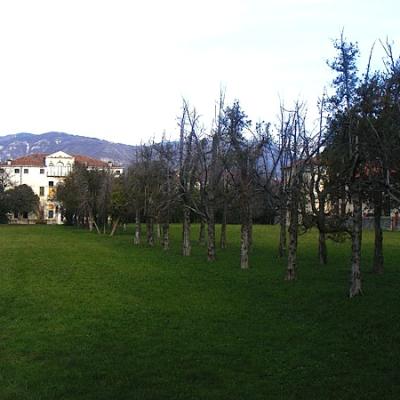 Bassanonet.it Brolo vegetale