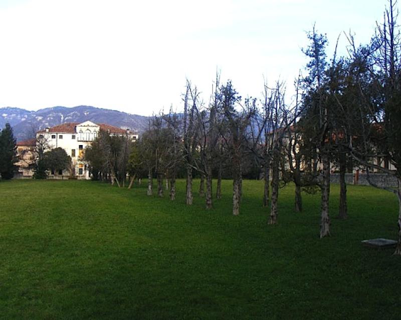 Bassanonet.it Brolo vegetale