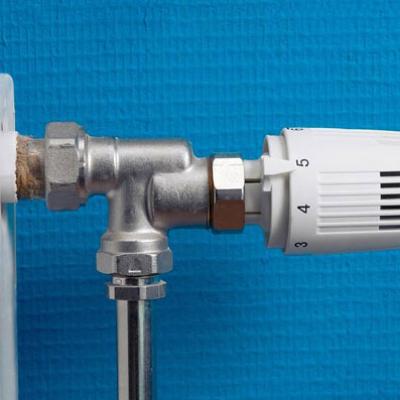 Bassanonet.it Etra: i consigli...della merla