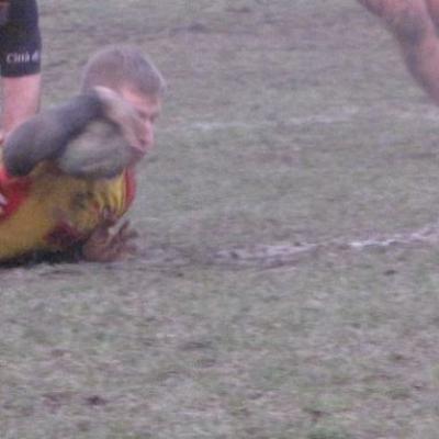 Bassanonet.it Rugby Bassano: sfida cruciale