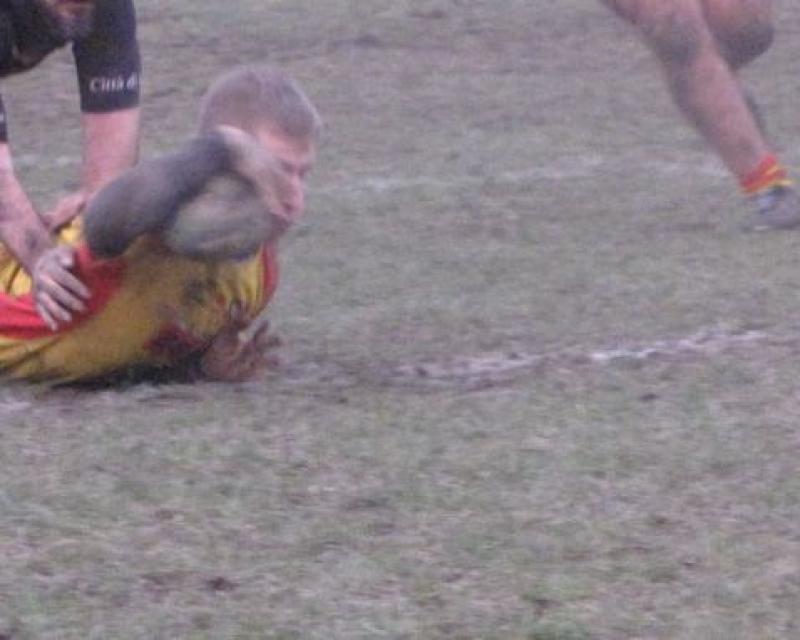 Bassanonet.it Rugby Bassano: sfida cruciale