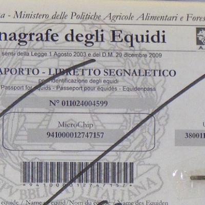 Bassanonet.it Il cavallo nascosto