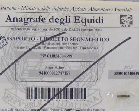 Bassanonet.it Il cavallo nascosto