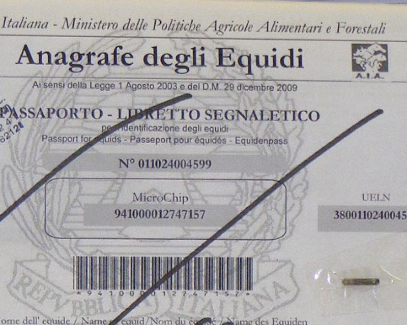 Bassanonet.it Il cavallo nascosto