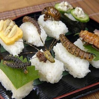 Bassanonet.it Com'è squisito 'sto bacherozzo...