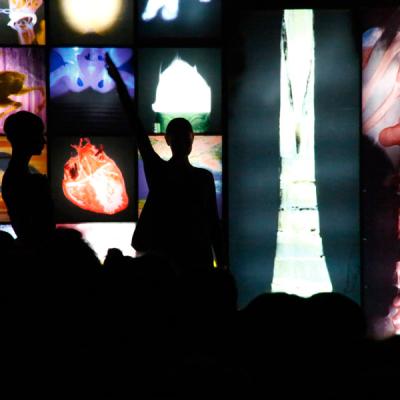 Bassanonet.it Cervello (e cuore) di coppia