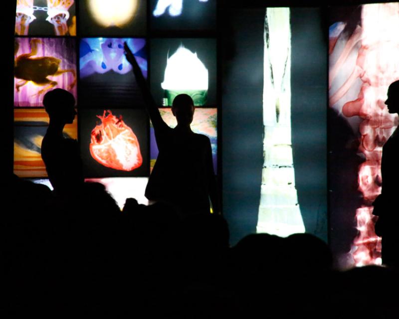 Bassanonet.it Cervello (e cuore) di coppia