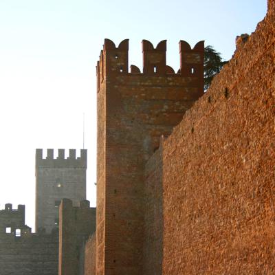 Bassanonet.it Per i Merli di Marostica