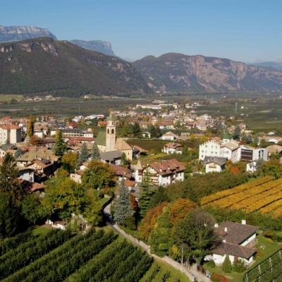 Bassanonet.it I migliori Pinot Nero d'Italia