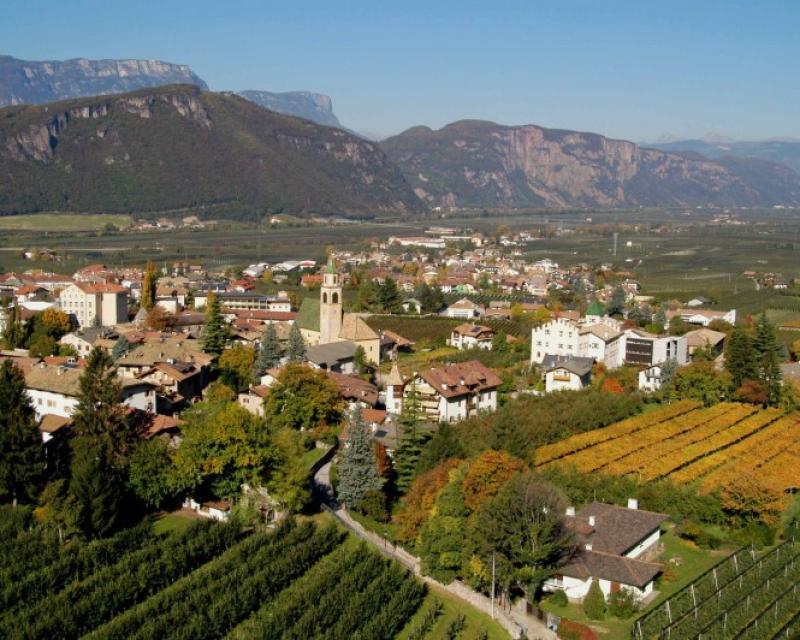 Bassanonet.it I migliori Pinot Nero d'Italia