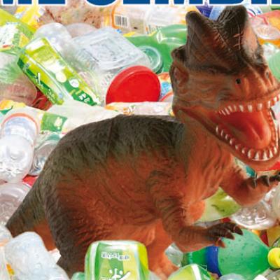 Bassanonet.it Quando la plastica non è...plastica